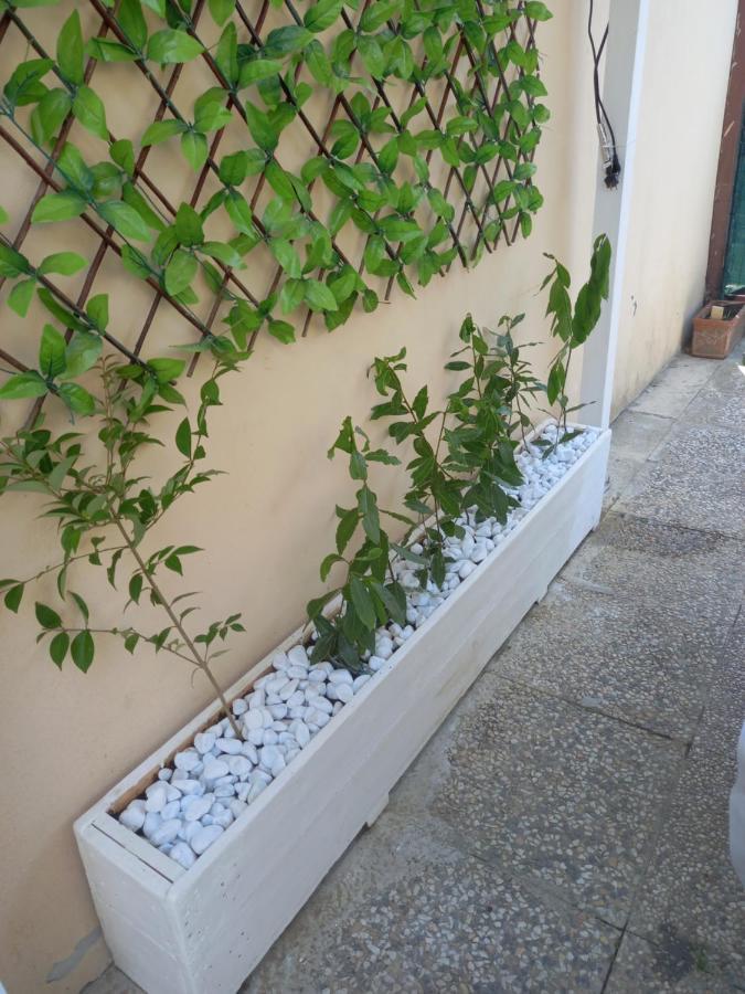 Double Room Fucecchio Bagian luar foto